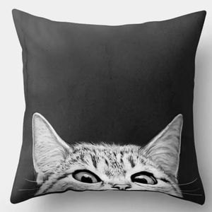 Restock!! Former HP! 🎉 Peek-a-Boo Cat Pillow Cover